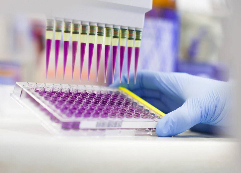 About LAB eN2 – LABeN2